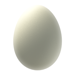 Edible egg