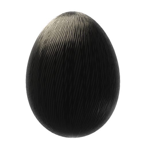 Carbon Fiber egg