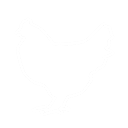 Chicken icon